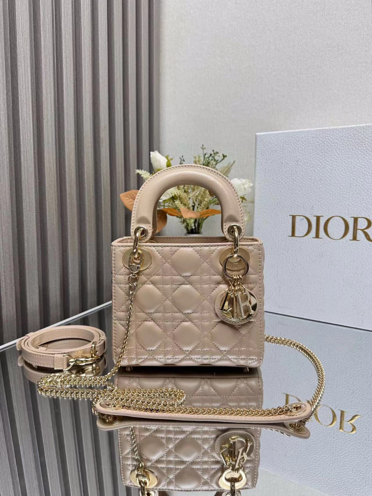 DiorLadyM0505 17cm P1 I18
