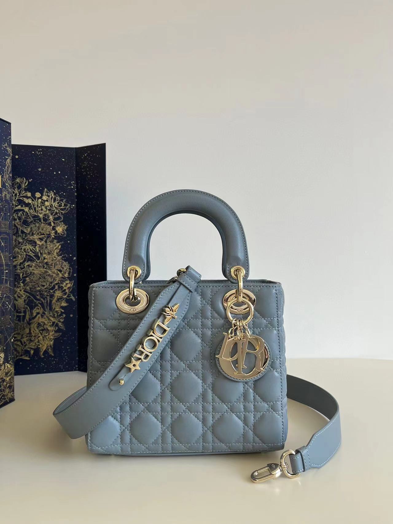 DiorLadyM0538 20cm P1 I13