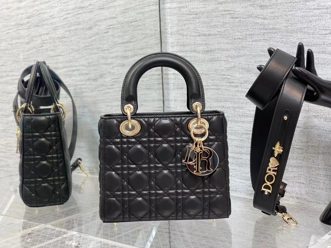 DiorLadyM0538 20cm P1 I16