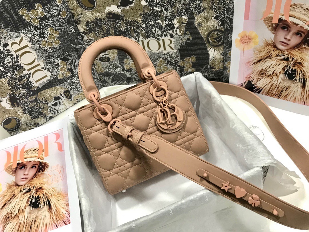 DiorLadyM0538 20cm P1 I18