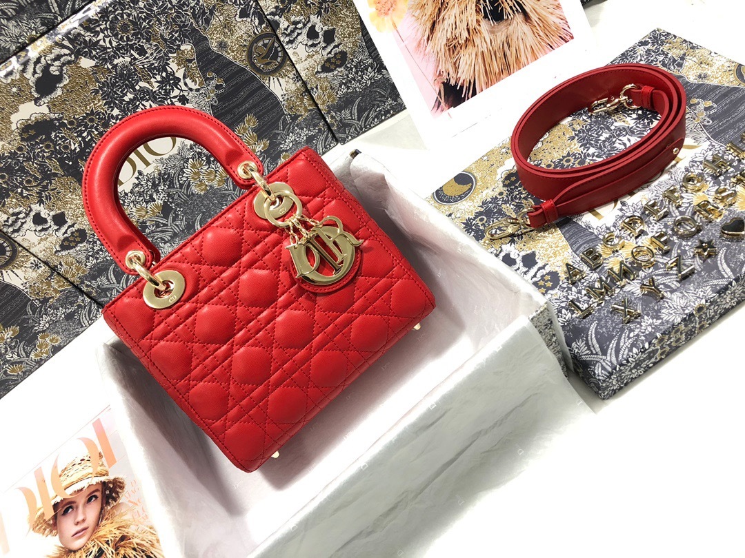 DiorLadyM0538 20cm P1 I20