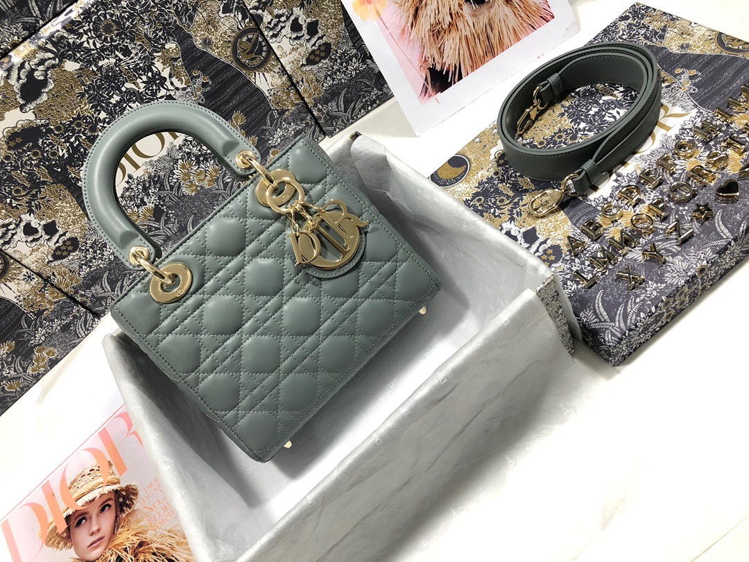 DiorLadyM0538 20cm P1 I21