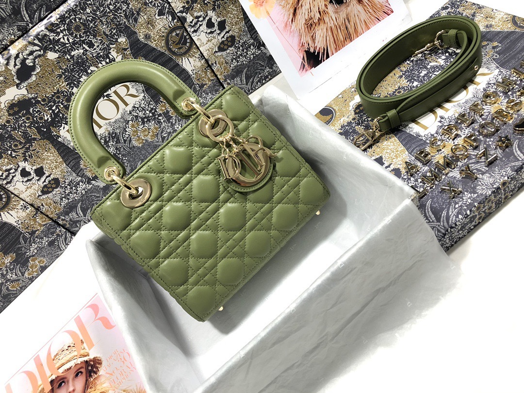 DiorLadyM0538 20cm P1 I24