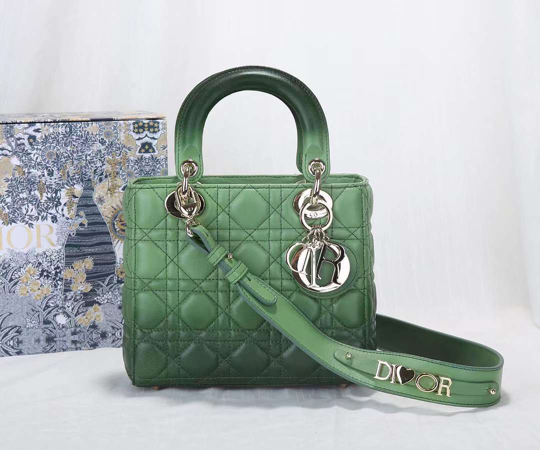DiorLadyM0538 20cm P1 I26