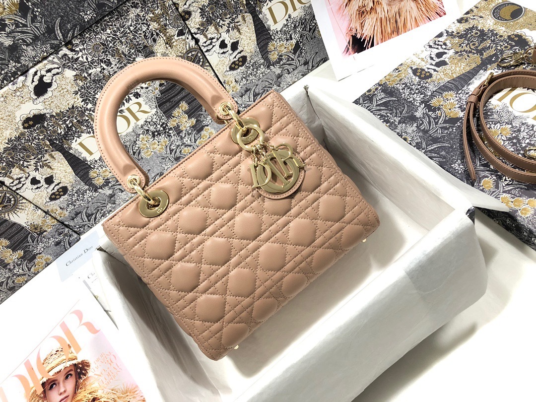 DiorLadyM0565 24cm P1 I116