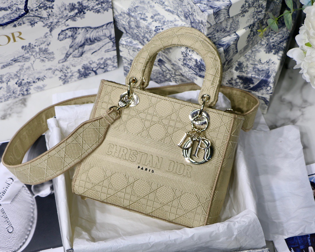 DiorLadyM0565 24cm P1 I21
