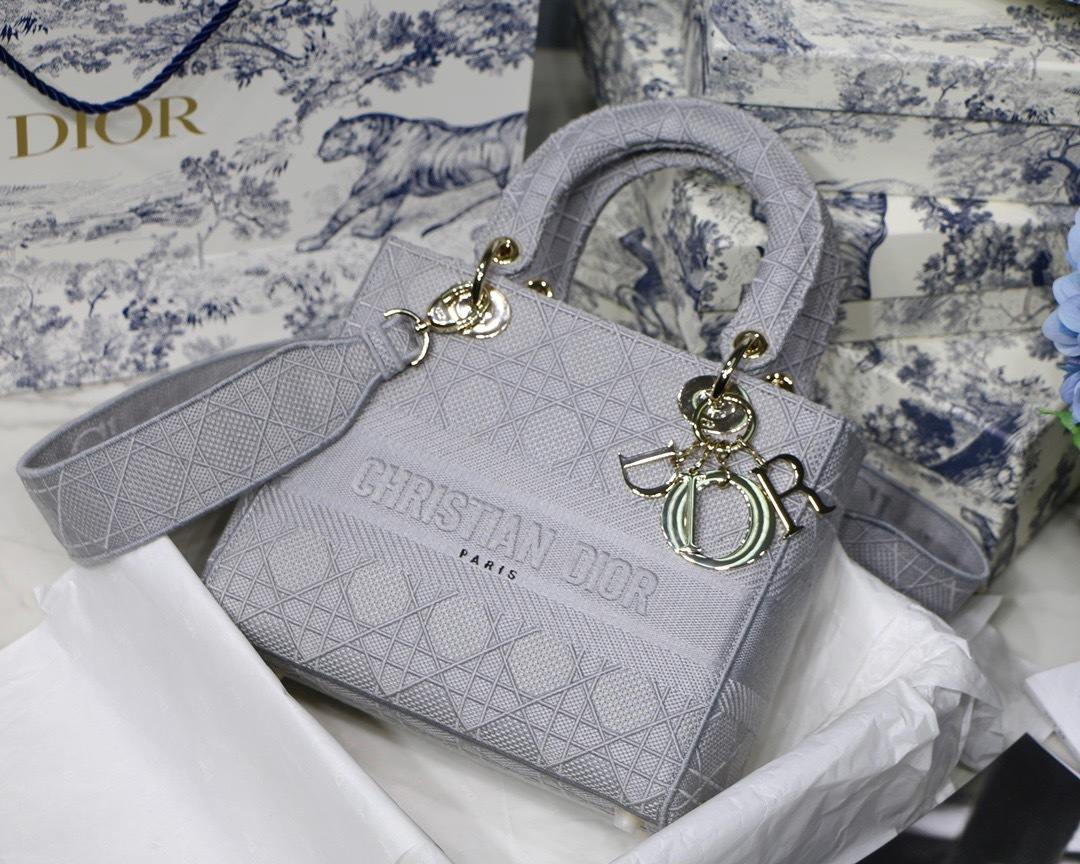 DiorLadyM0565 24cm P1 I22