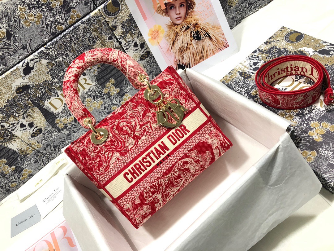 DiorLadyM0565 24cm P1 I30