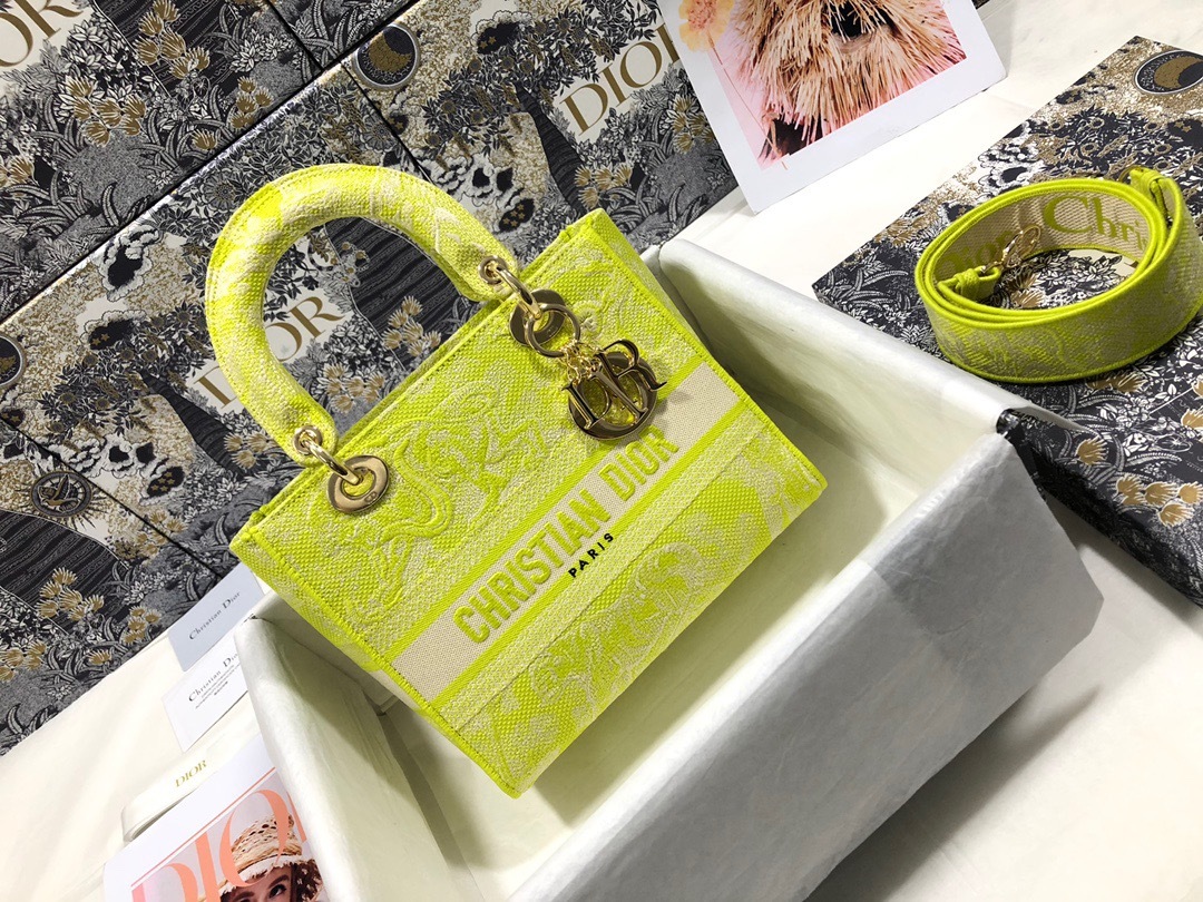 DiorLadyM0565 24cm P1 I68