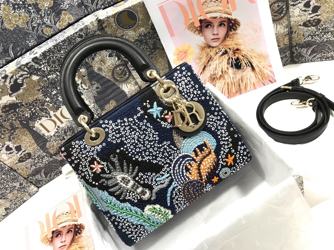DiorLadyM0565 24cm P1 I80