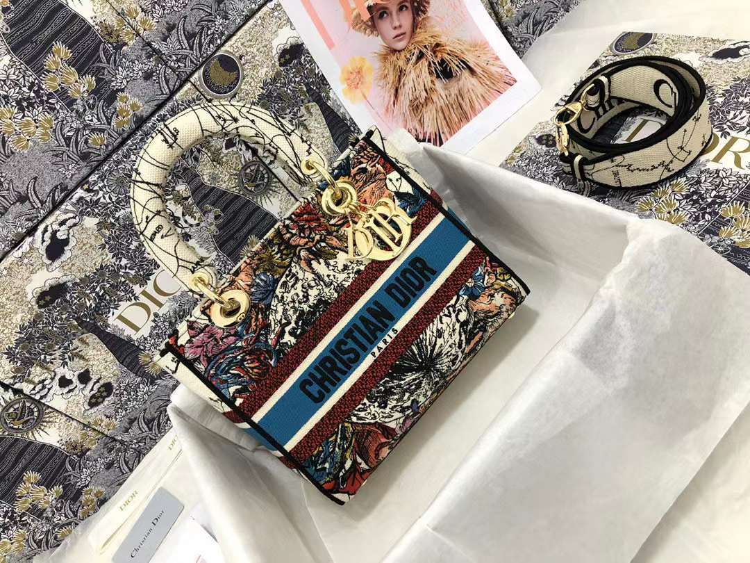 DiorLadyM0565 24cm P1 I92