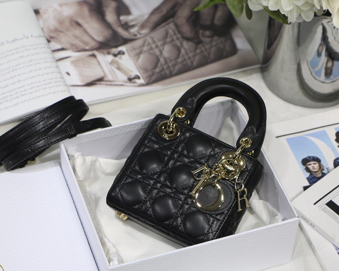 DiorMicroLady0856 P1 I11