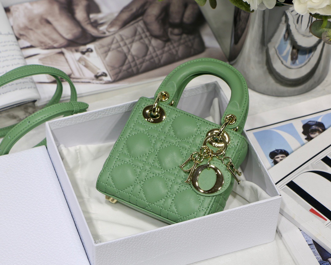 DiorMicroLady0856 P1 I13