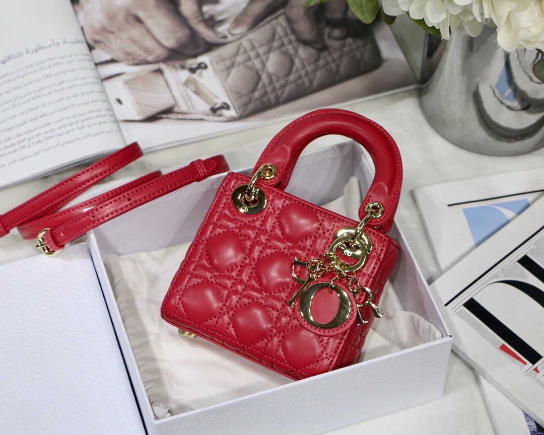 DiorMicroLady0856 P1 I15