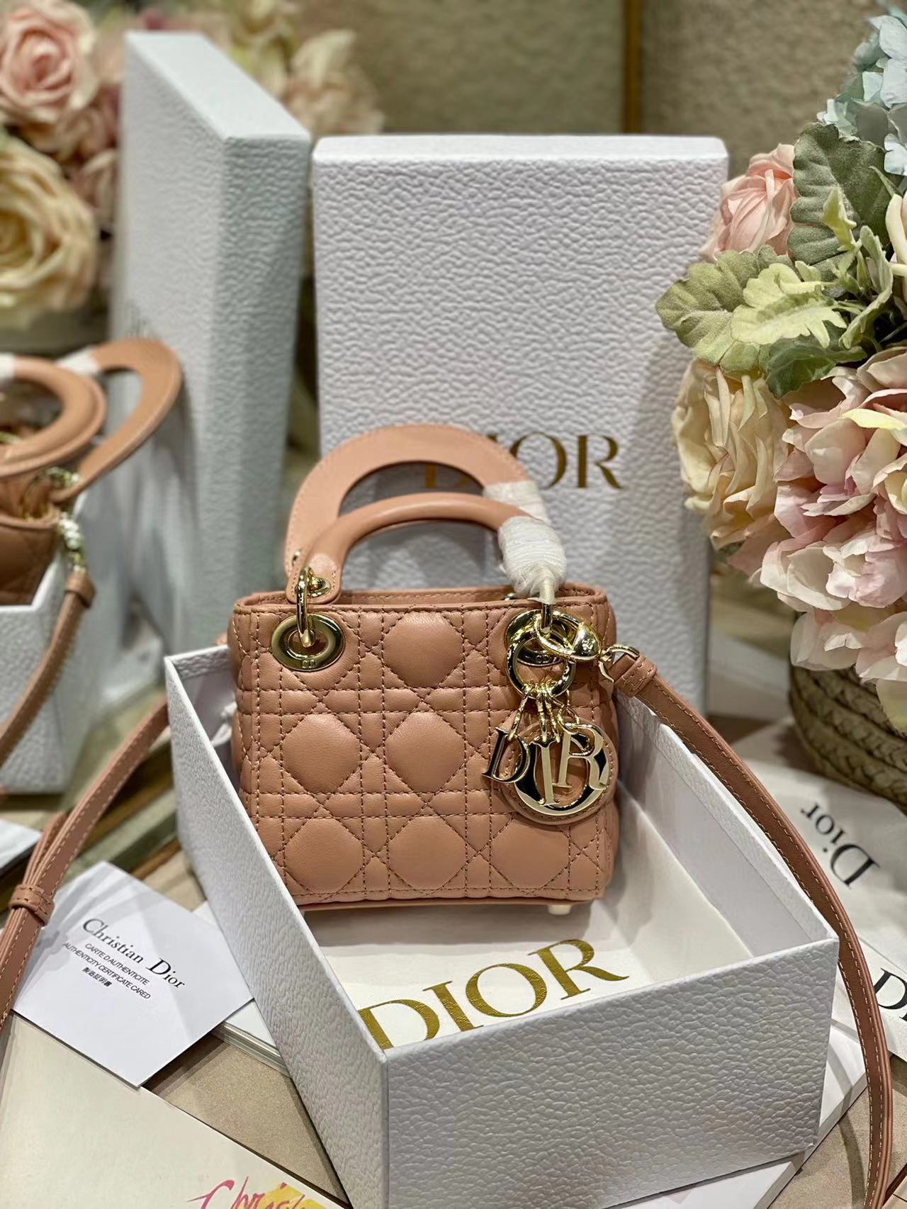 DiorMicroLady0856 P1 I3