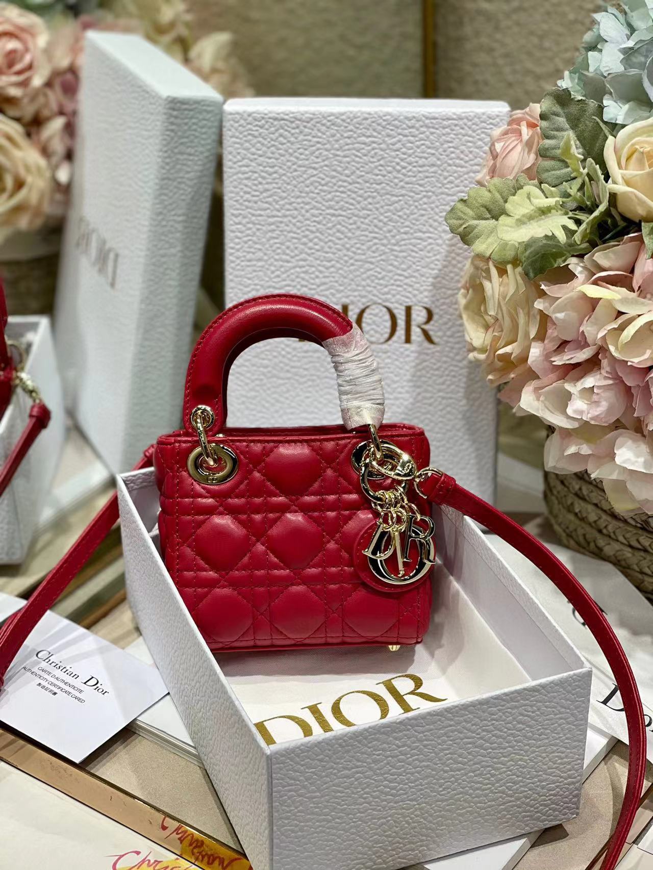 DiorMicroLady0856 P1 I4