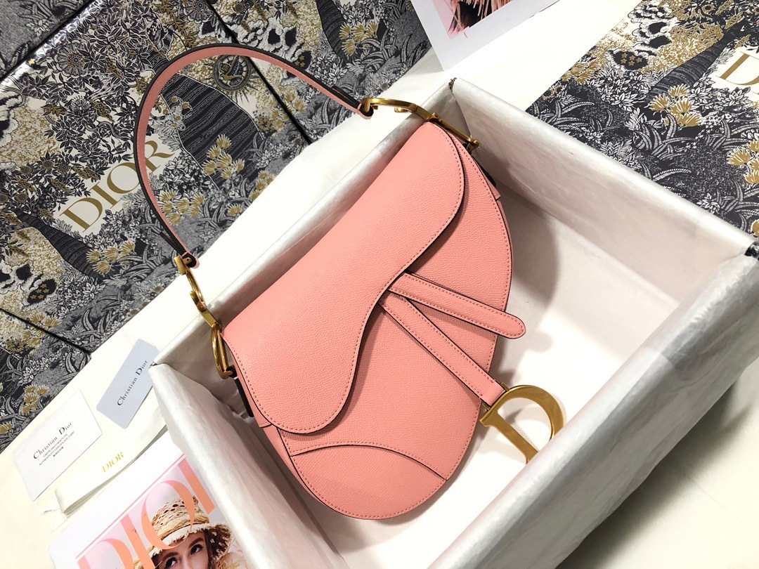 DiorSaddle P1 I10