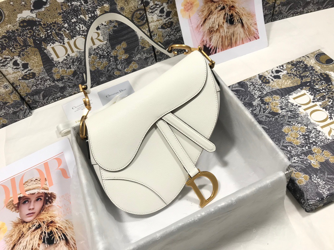 DiorSaddle P1 I11