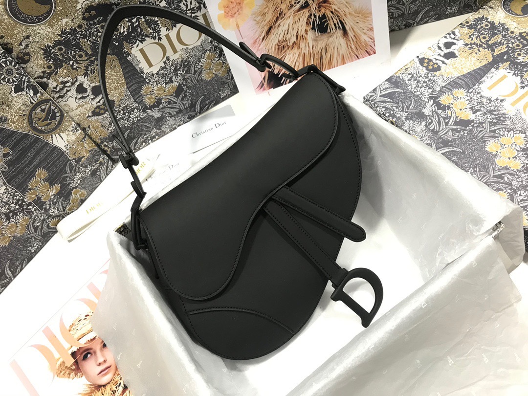 DiorSaddle P1 I17