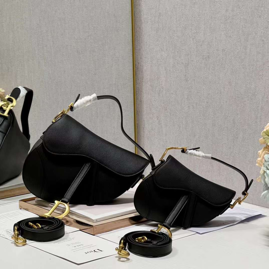 DiorSaddle P1 I24