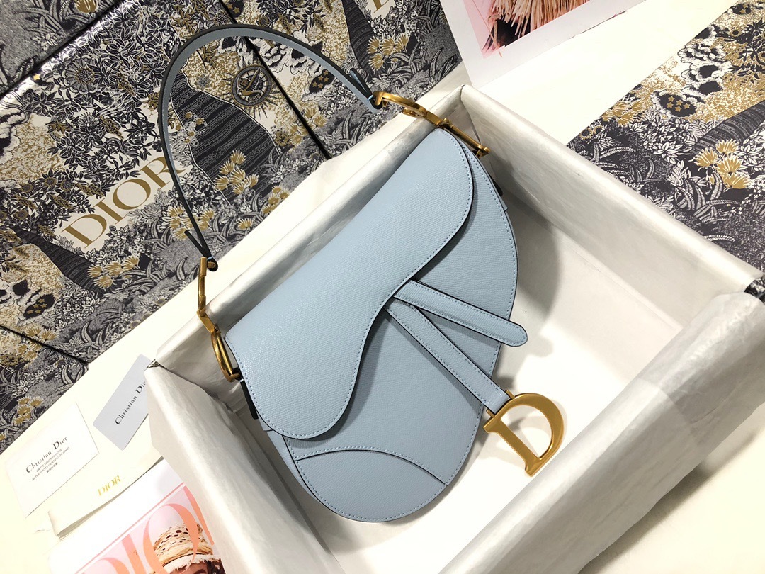DiorSaddle P1 I29