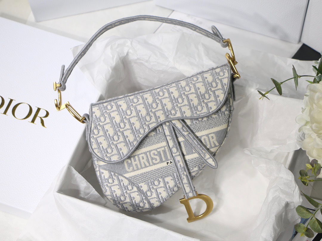 DiorSaddle P1 I33