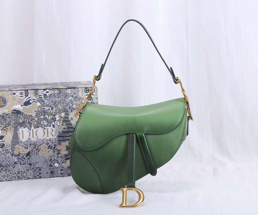 DiorSaddle P1 I35