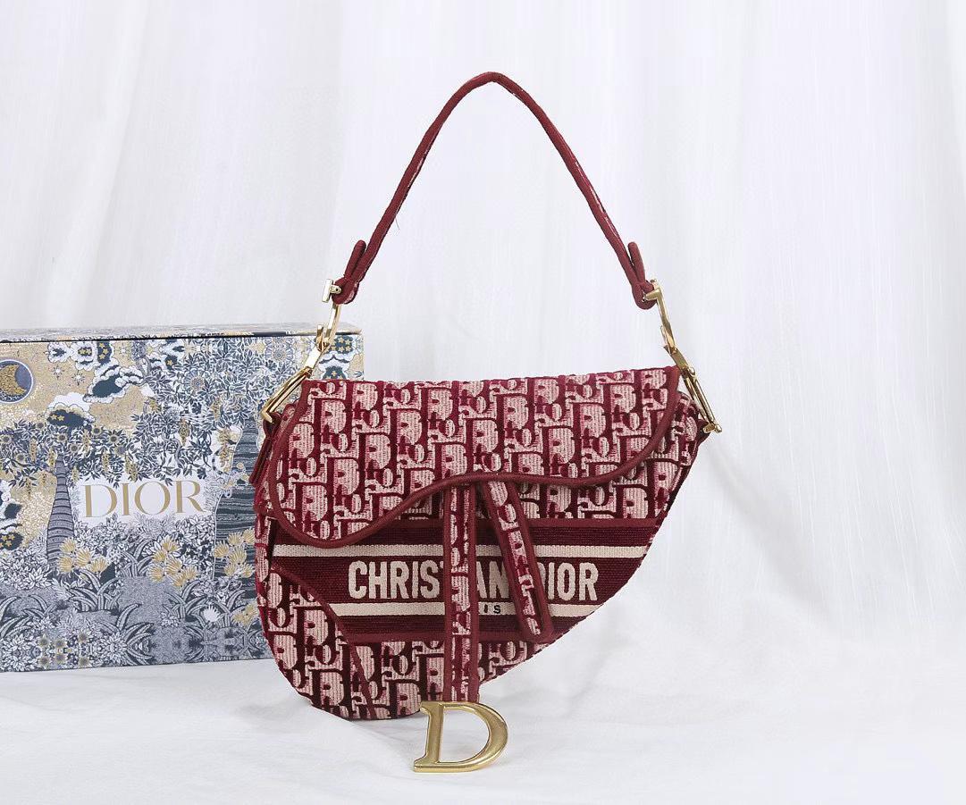 DiorSaddle P1 I43