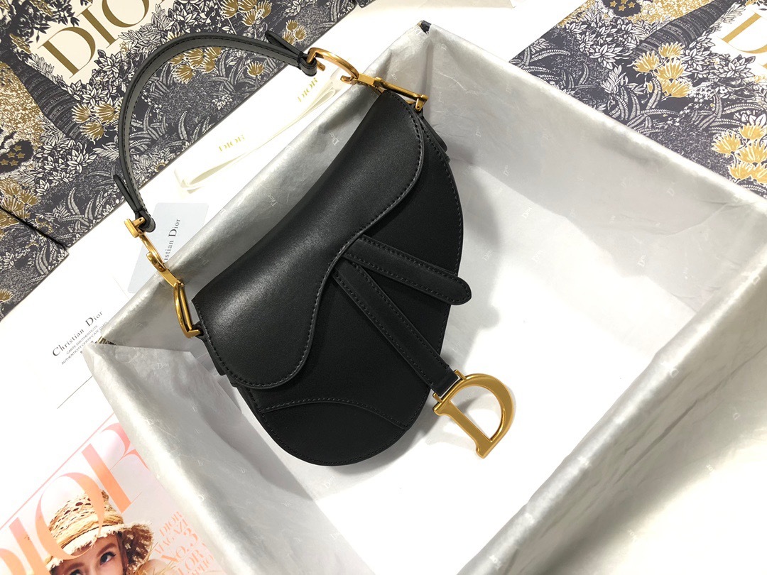 DiorSaddle M0447 P1 I11