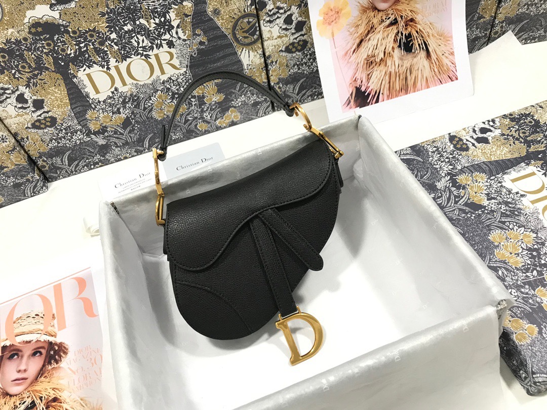 DiorSaddle M0447 P1 I15