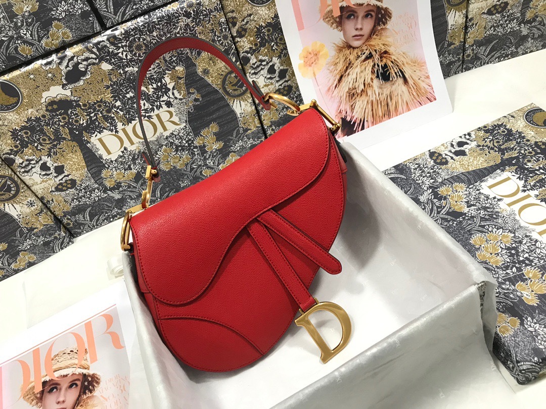 DiorSaddle M0447 P1 I17