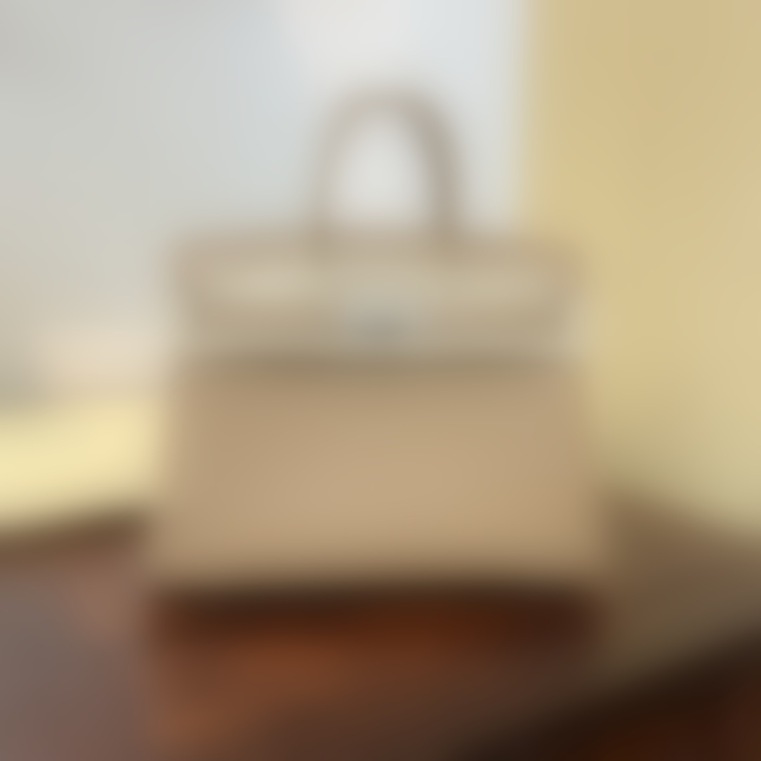 HermesBirkin P1 I100