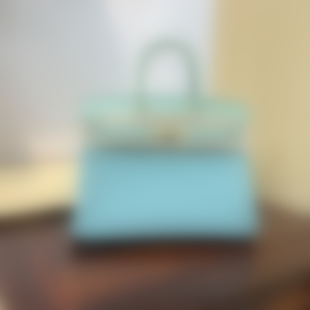 HermesBirkin P1 I103