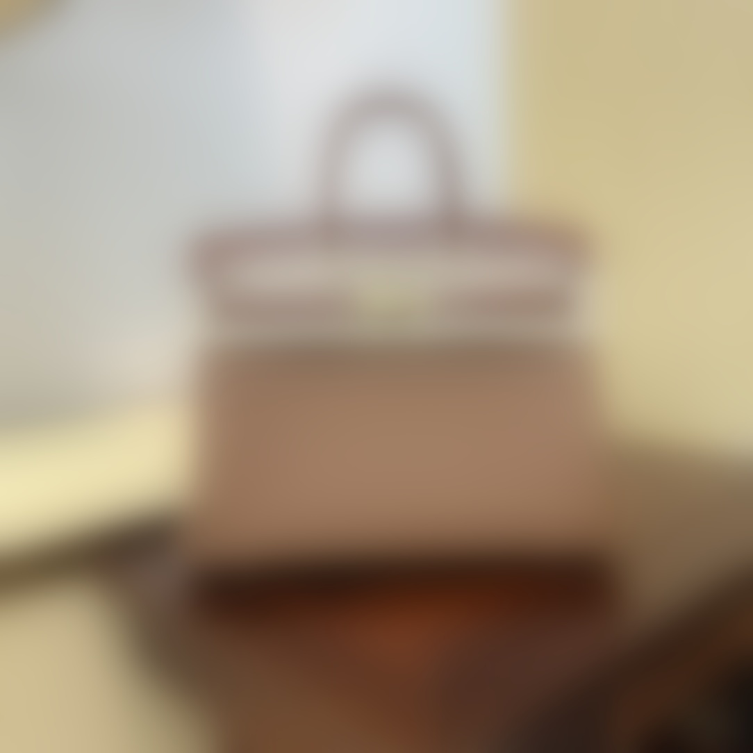 HermesBirkin P1 I107