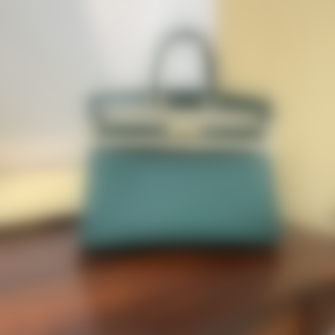 HermesBirkin P1 I111