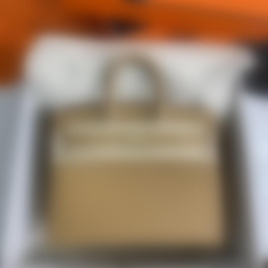 HermesBirkin P1 I119