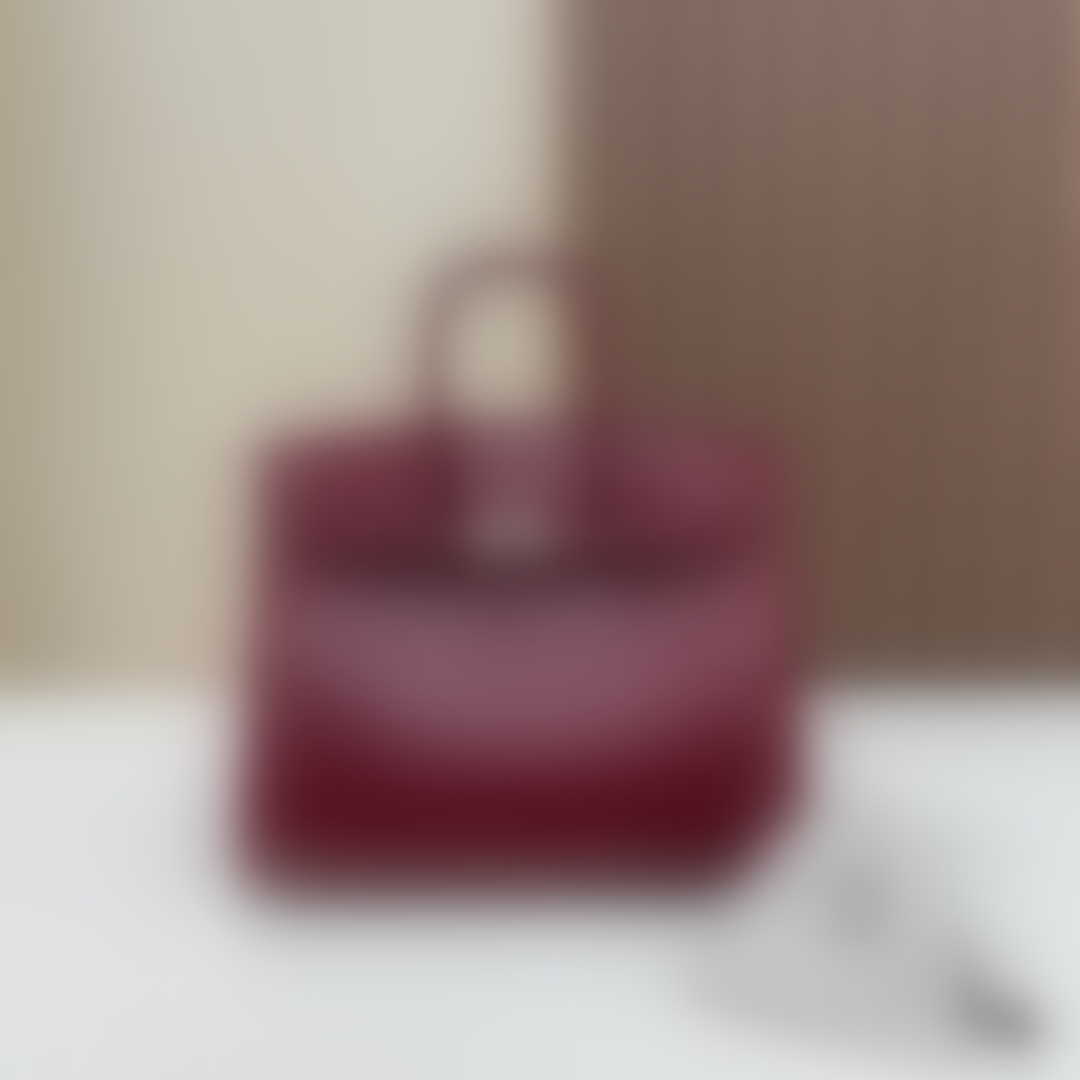 HermesBirkin P1 I56