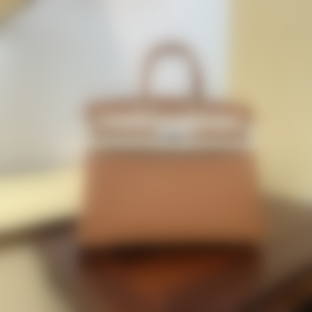 HermesBirkin P1 I72