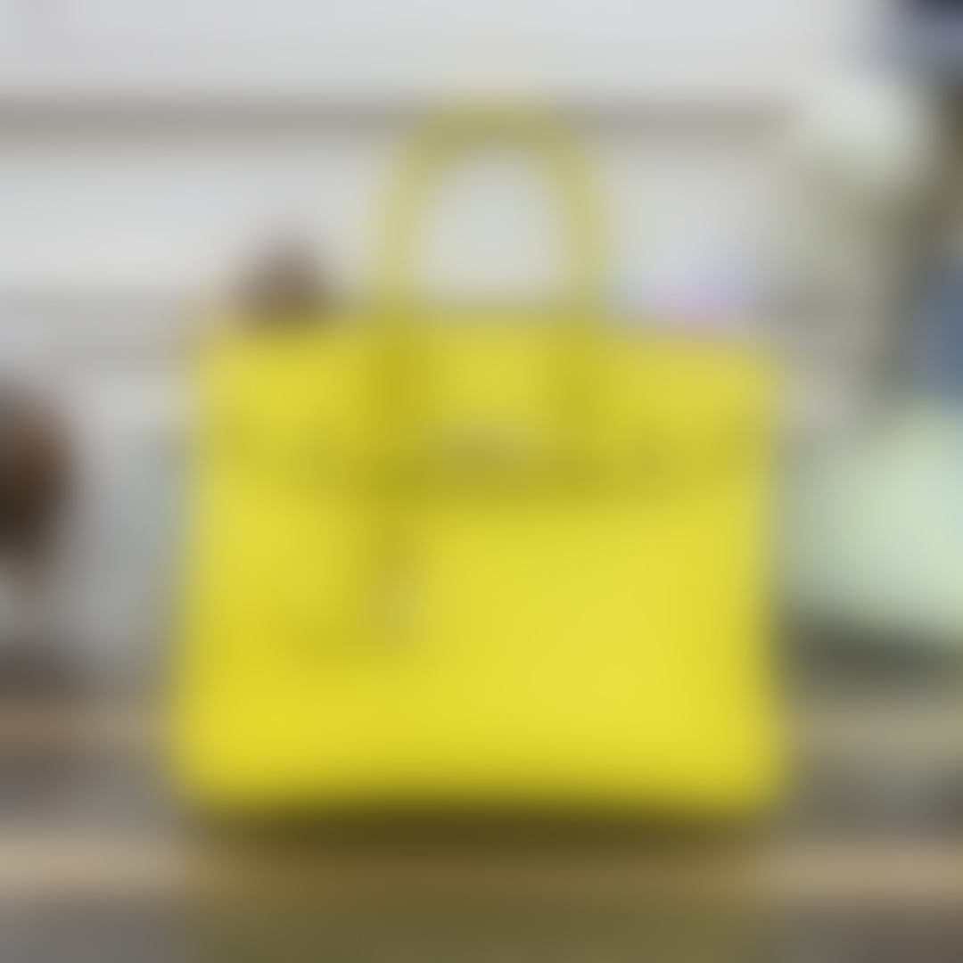 HermesBirkin P1 I74