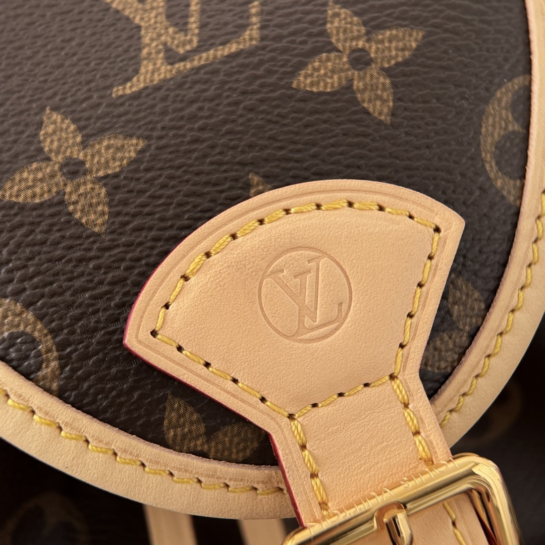LV Backpack P1 I3