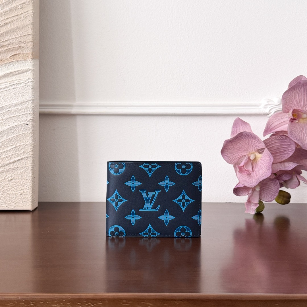 LV CardHolder P1 I95