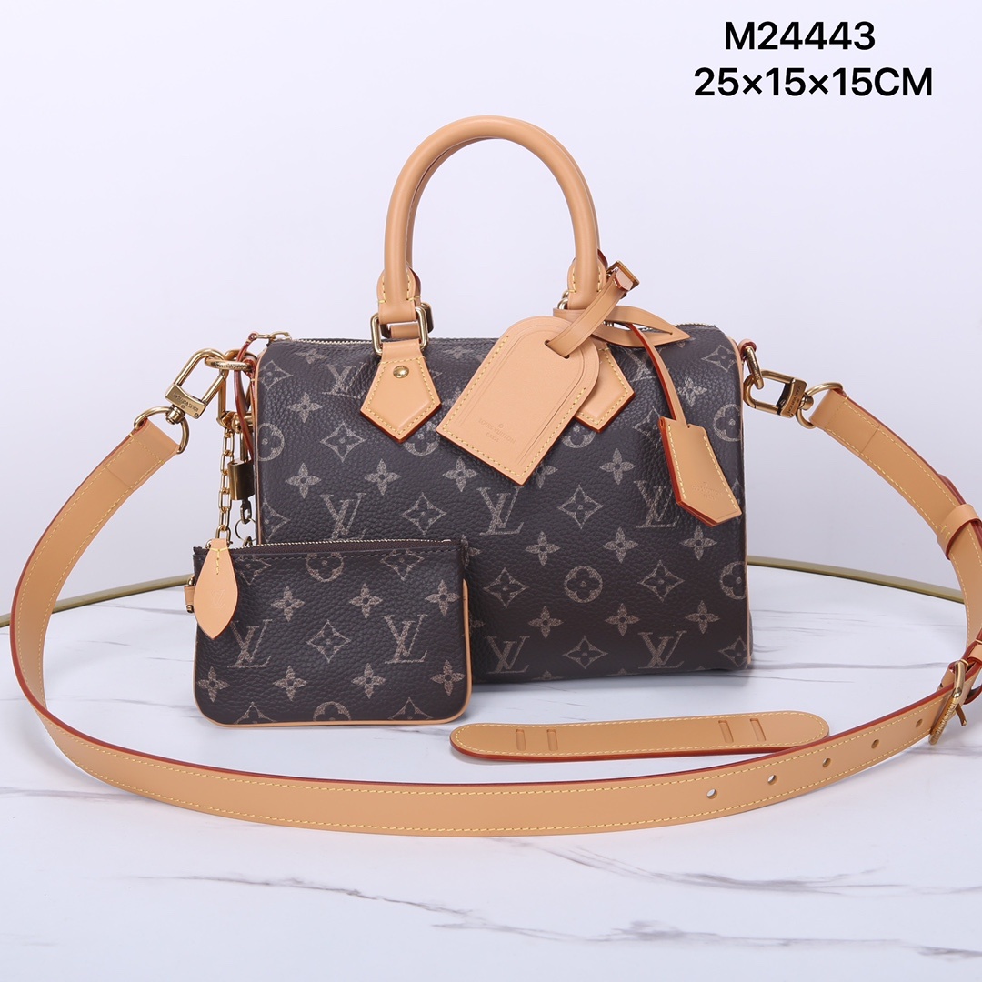 LV Speedy25 P1 I1