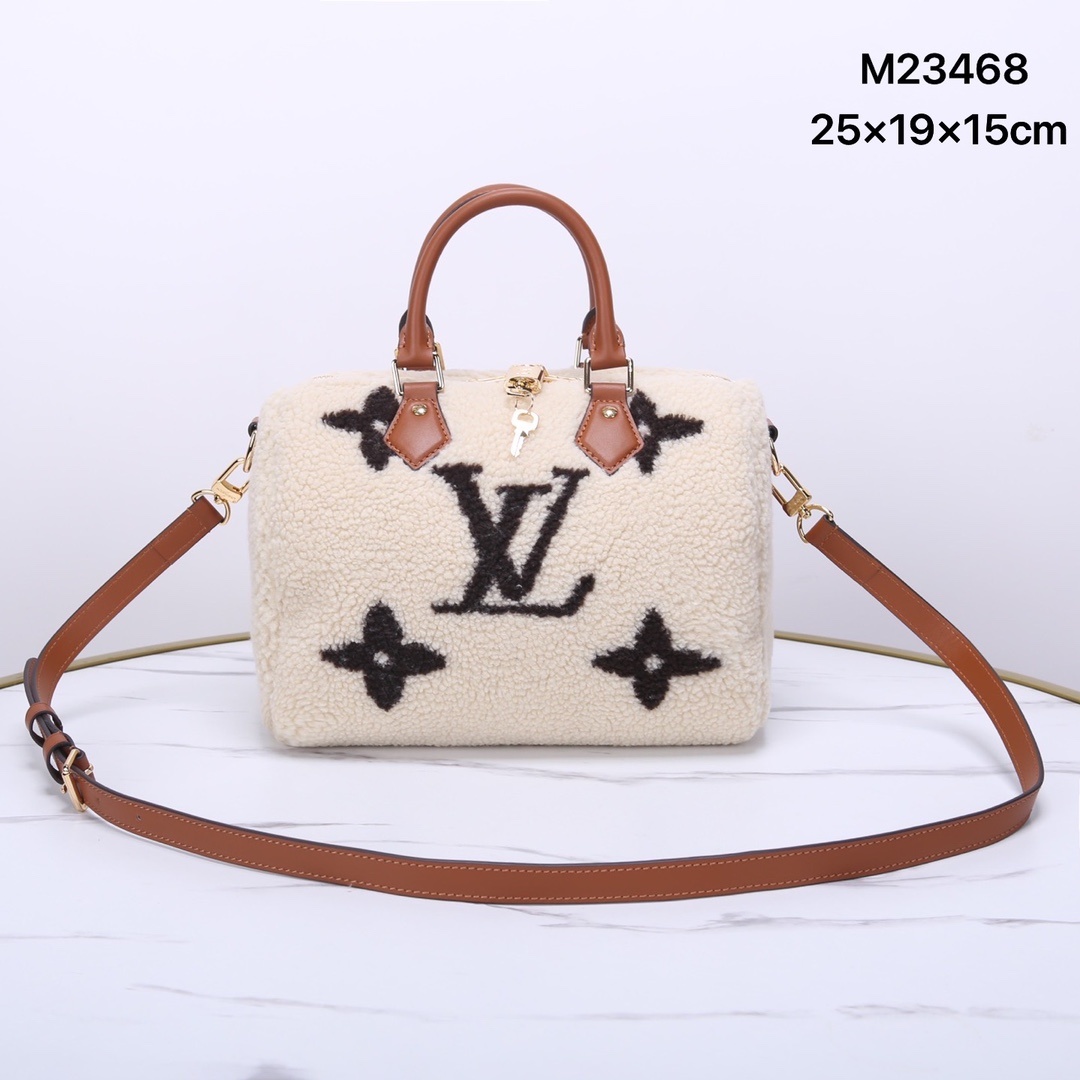 LV Speedy25 P1 I12